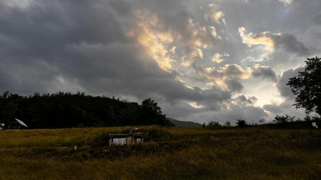 Tara Place - Camp Rabrenovic Mojkovac Eksteriør billede