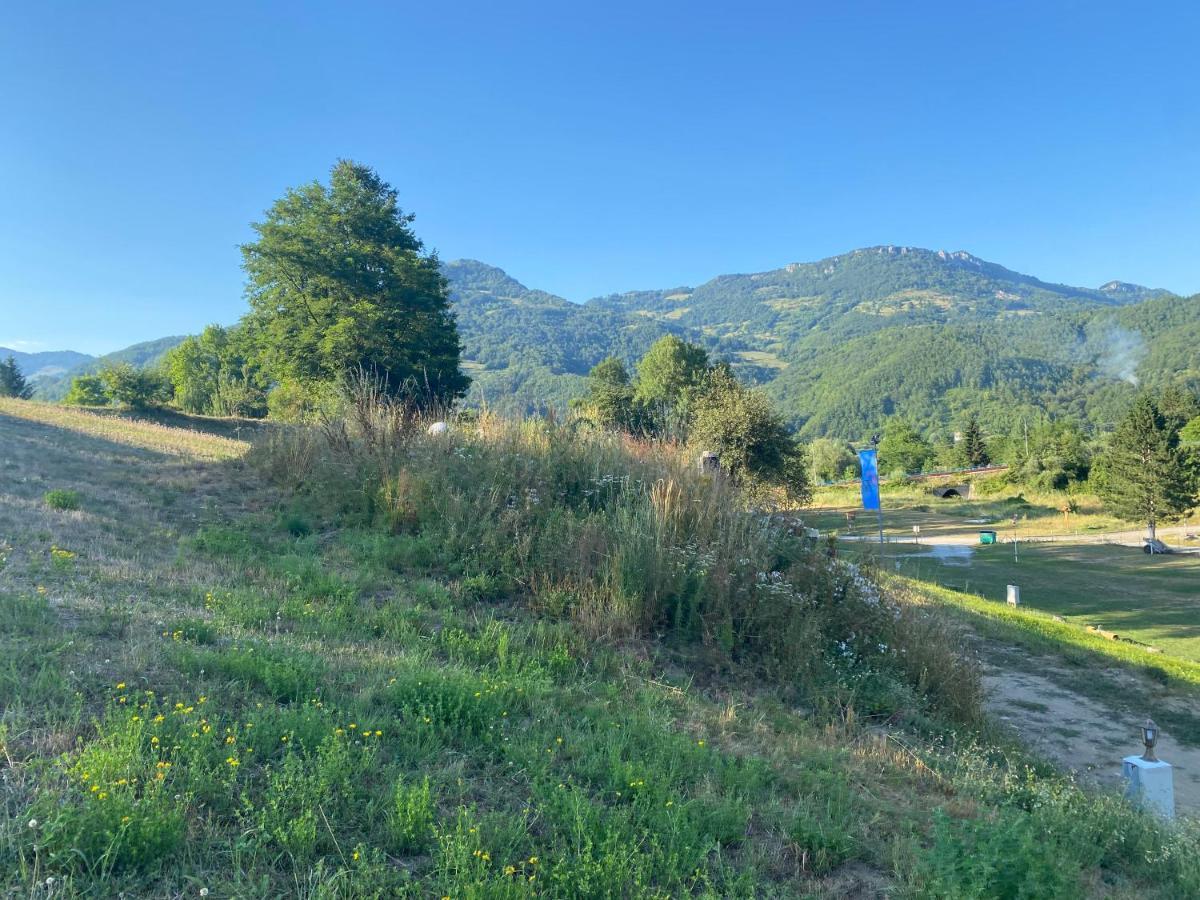 Tara Place - Camp Rabrenovic Mojkovac Eksteriør billede