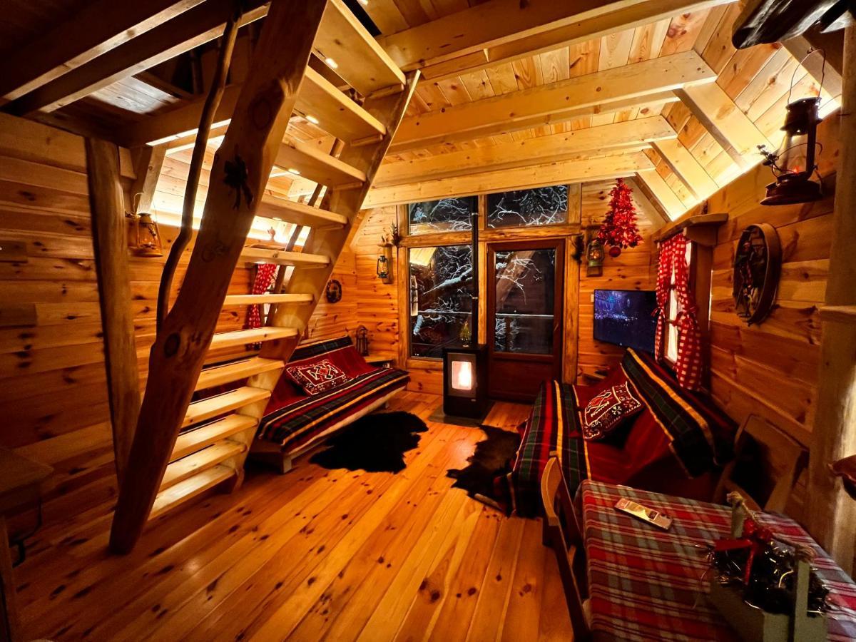 Tara Place - Camp Rabrenovic Mojkovac Eksteriør billede