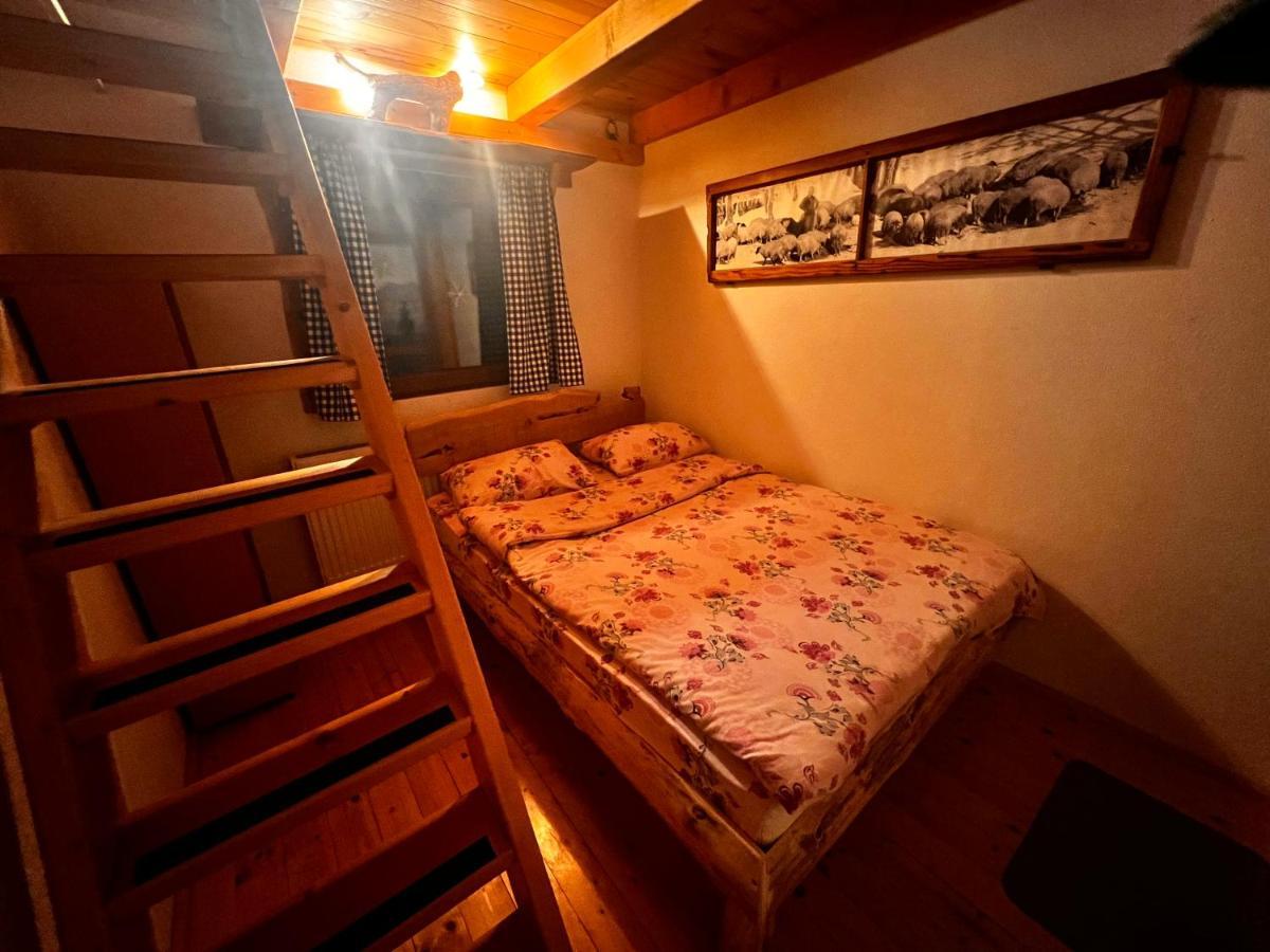 Tara Place - Camp Rabrenovic Mojkovac Eksteriør billede