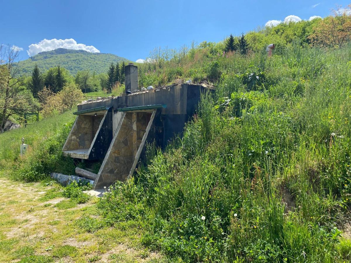 Tara Place - Camp Rabrenovic Mojkovac Eksteriør billede